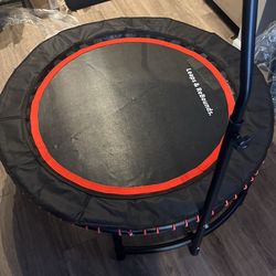 The Leaps and Rebounds Mini Fitness Trampoline and Rebounder
