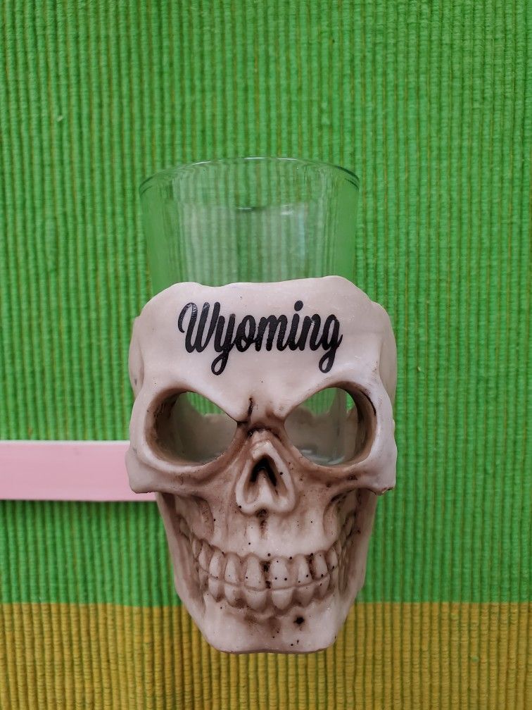 Skull Shot Glass Wyoming Gift Barware Gift 