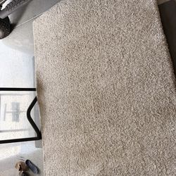 5x7 ft Area Rug - Silver/light grey