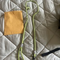 Lime Dog Leash 