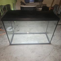 Fish Tank 
