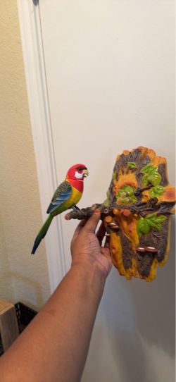 Colorful Parrot Bird Wall Plaque Decor