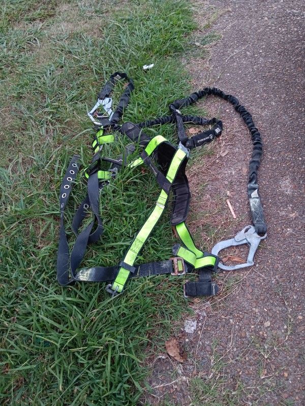 Climbing Harness