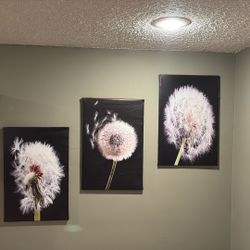 Dandelion Pictures