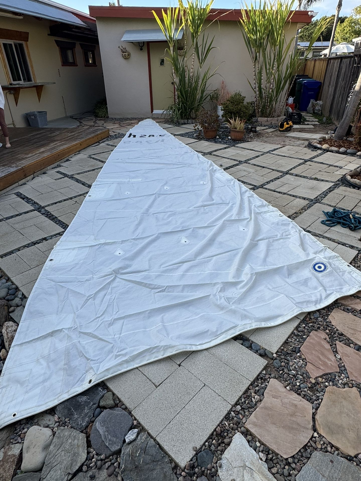 Neil Pryde Main Sail