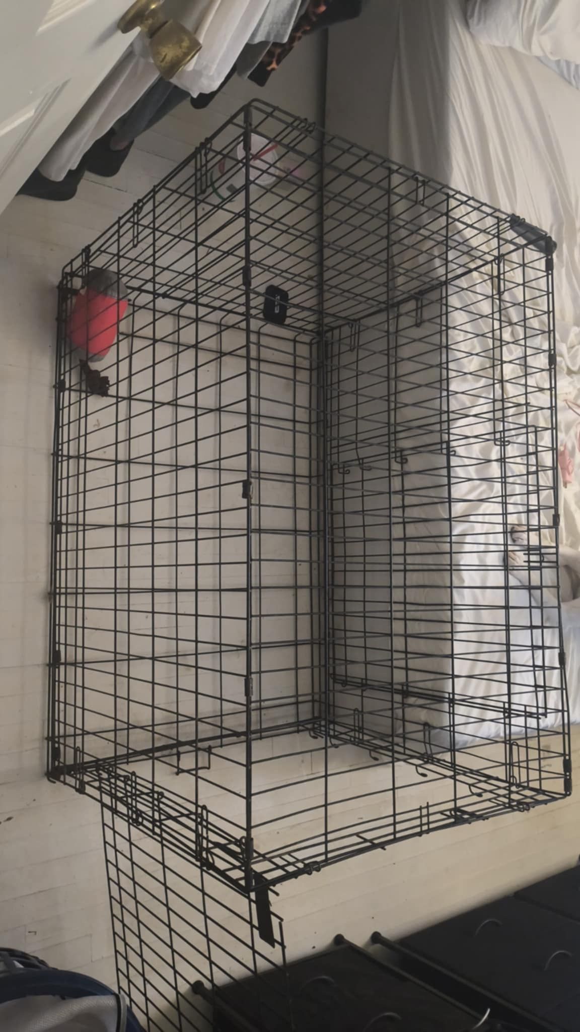 Dog Crate