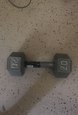 20lb weight