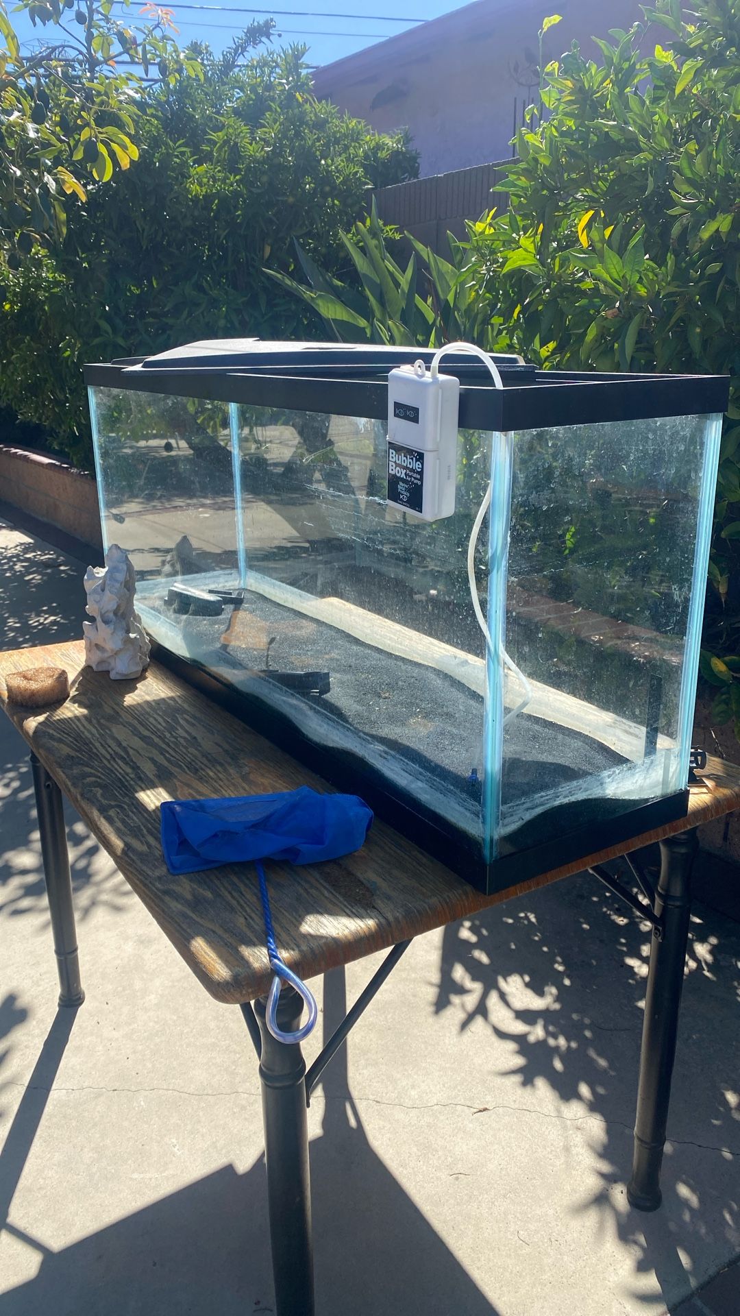 55 Gallon Fish Tank 