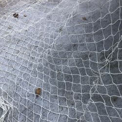 NETS, NETTING, MAYAS !!!