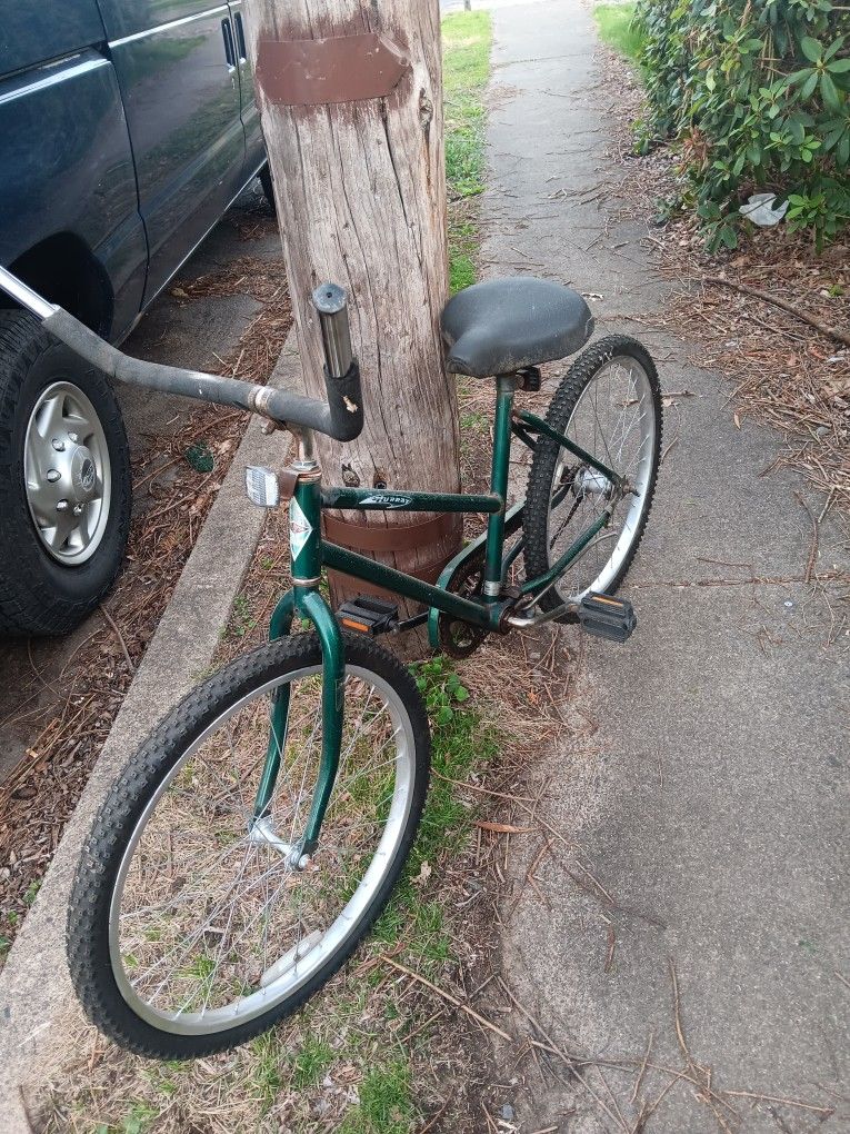 Bicicleta