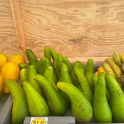 Avocados ,Aguacates Catalina 