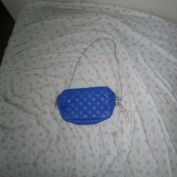 Blue Purse