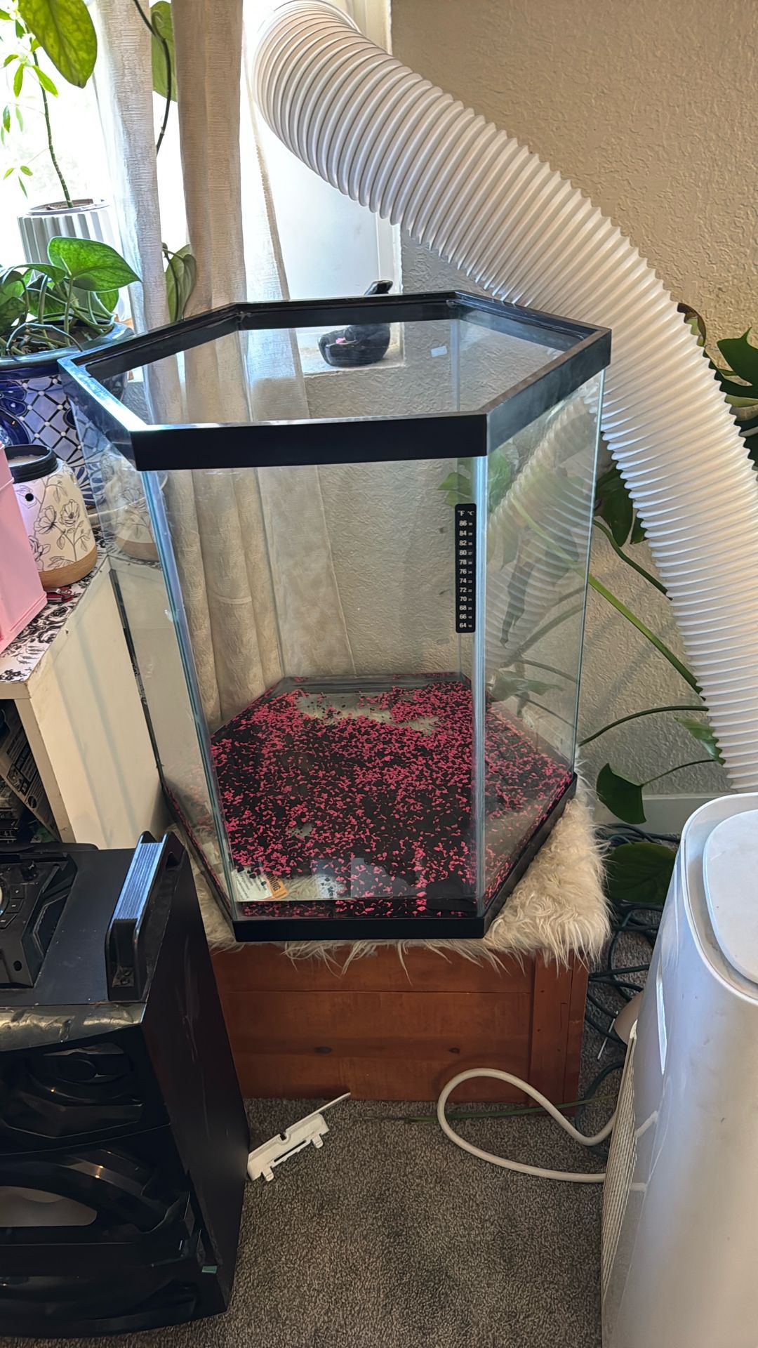 35g Fish Tank