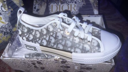 Dior b23