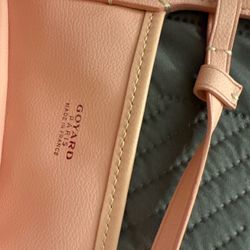 Women’s Goyard bag