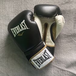 Everlast Boxing Gloves