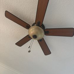 3 Fans $50 Each 
