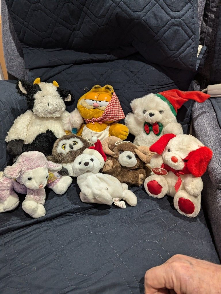 Box Of Teddy Bears, And Teddy Other Things!