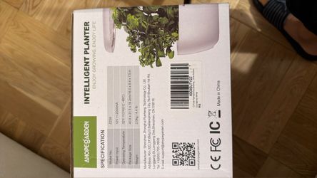 Hydroponic plant