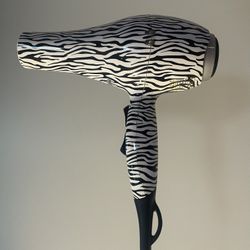Professional Hair Dryer
