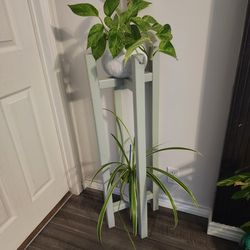  plant stands  New
