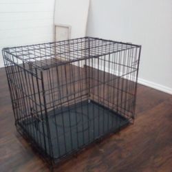 Dog Kennel 