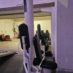 Work Out. Full Gym Membership 