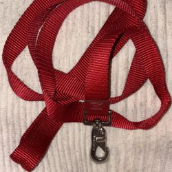 Red Dog Collar And Leash