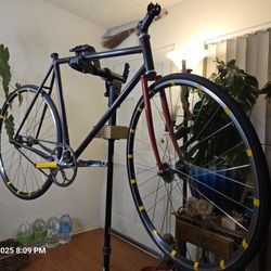 56 Surly Steamroller 