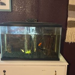 25 Gallon Fish Tank For Sale