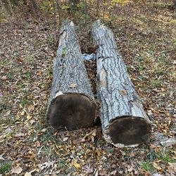 Logs Hardwood Free!