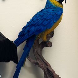 Large Macaw Statue 