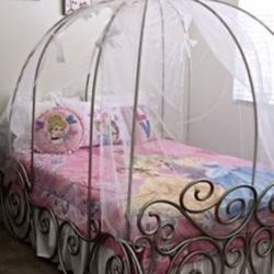 Twin Size Princess Bed