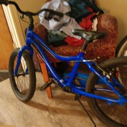 Giant Moda Kids Bike