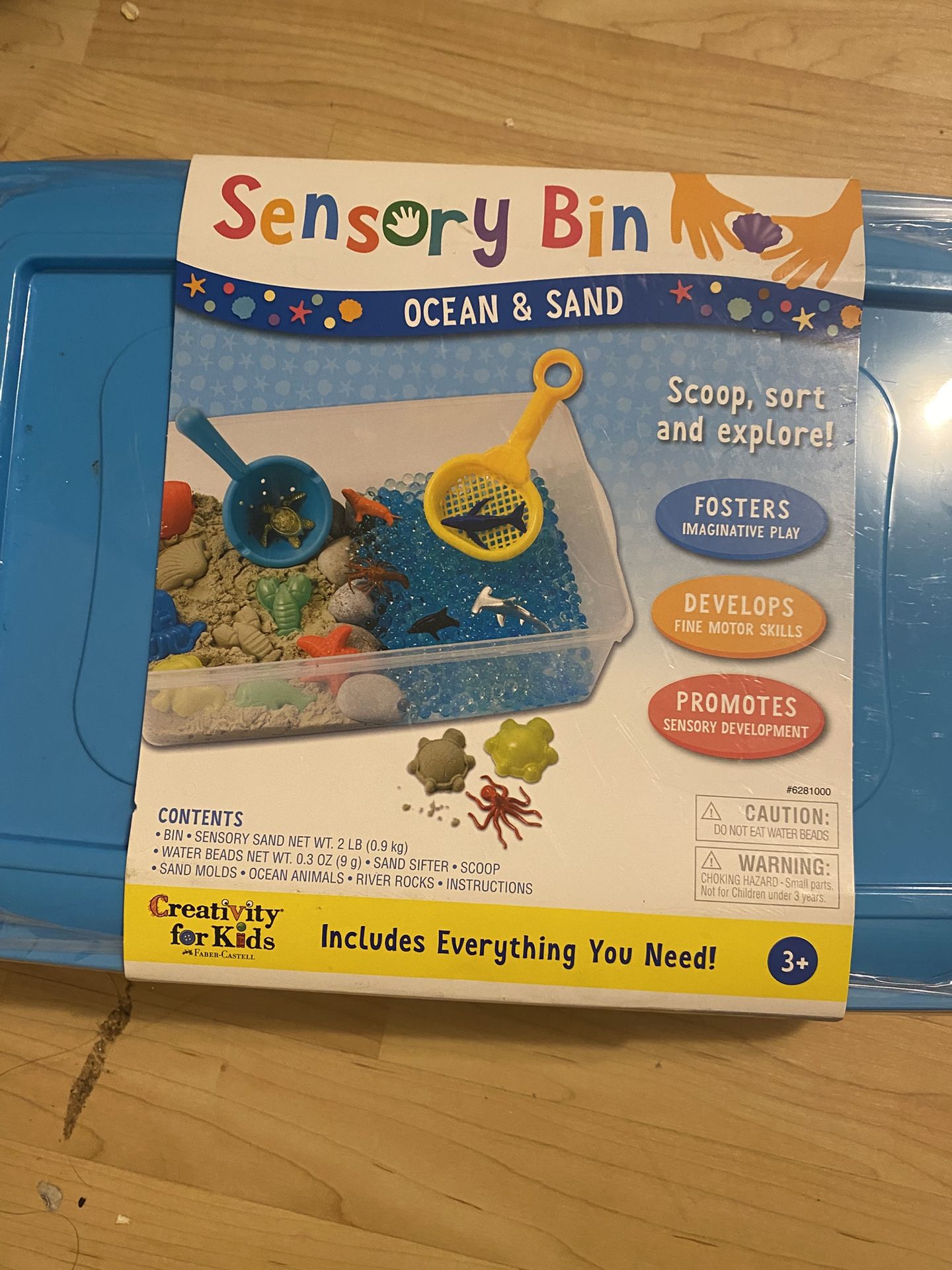 Sensory Bin 