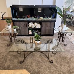 Glass Top Coffee Table w/side Tables