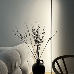 Floor light