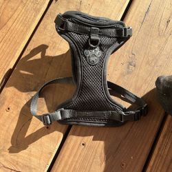 Puppy Harness
