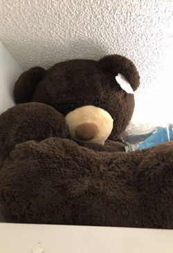 Big brown teddy