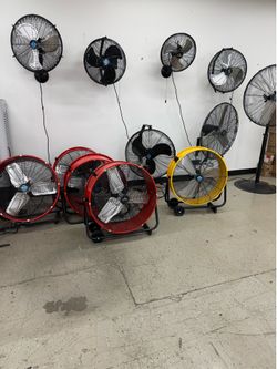 Fans
