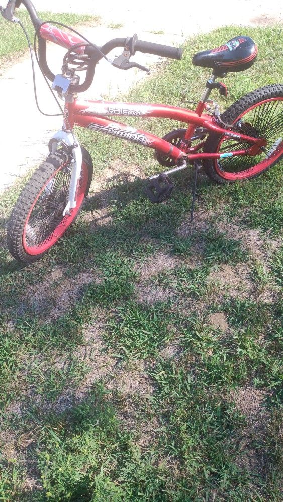 Schwinn Bicycle