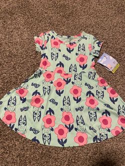 Bluey dress