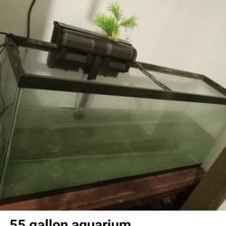 55 Gallon Aquarium 