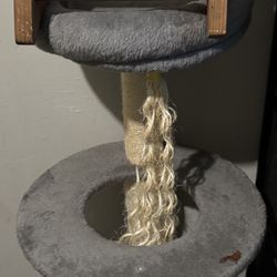 Cat Tree And Cat Toy 