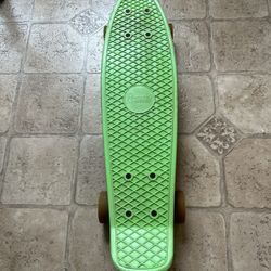 Penny Board Skateboard