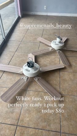 2 White Fans