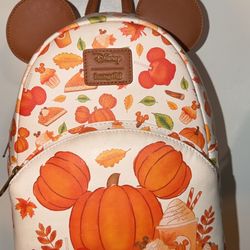 Disney fall/pumpkin loungefly