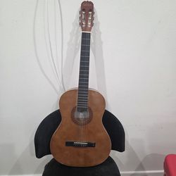 Acoustic Guitar never used