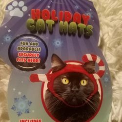 * Holiday Cat Hats*Only Ten $$$$$$$$$$*
