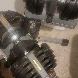 Nautilus Adjustable Dumbbells